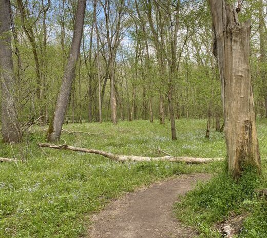 Get Outside