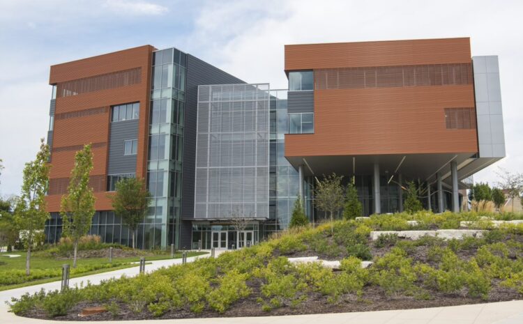 NKU to Launch Entry-Level Doctor of Occupational Therapy Program