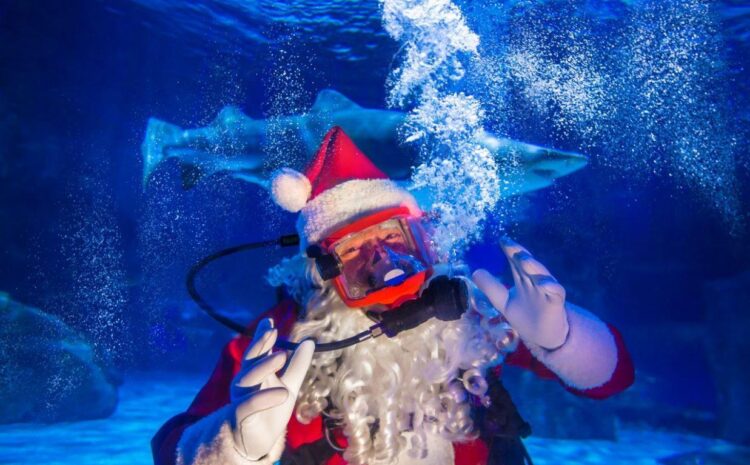  See Santa Scuba