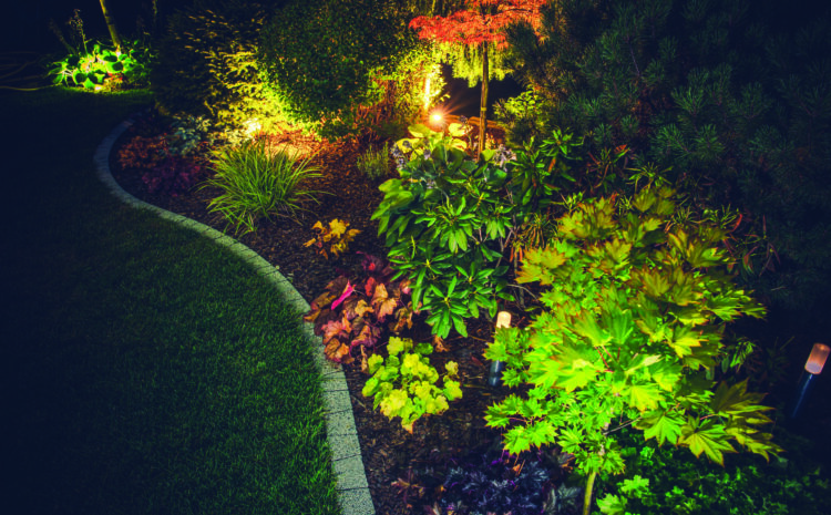  Planning Ahead for Spring Projects