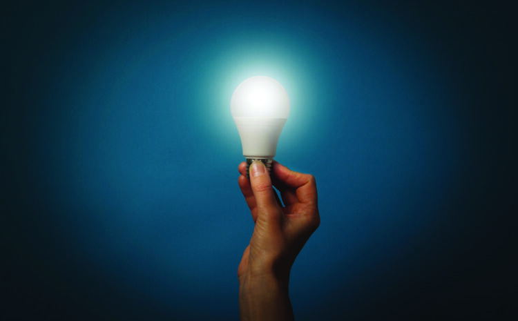  Shedding Light