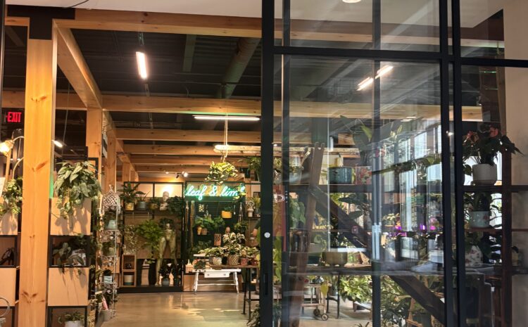  Swap, Shop and Grow